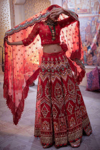 Anari