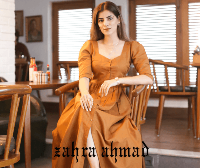 Pakistani Party Dress